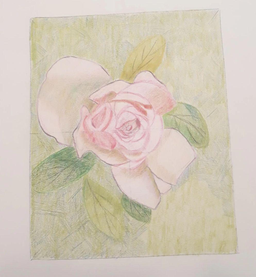 Ma 18 Aprile 2023:  Intensivo di Disegno sul Fiore e la Natura